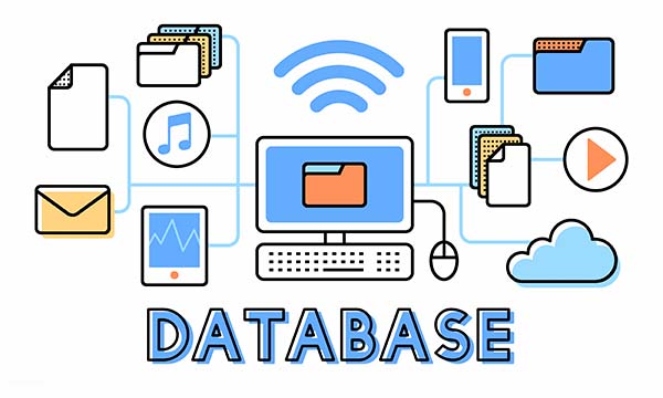 Dashboard sql server