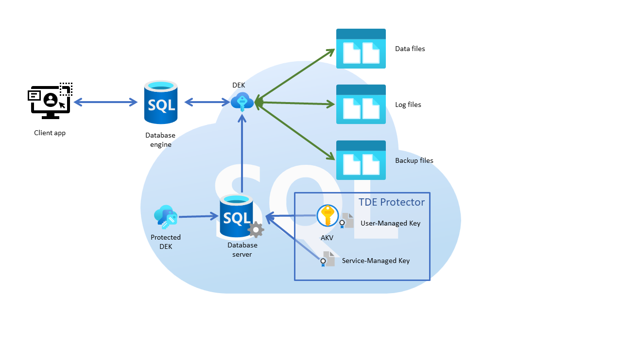 SQL Server TDE - Transparent Data Encryption - Tripletech IT Solutions